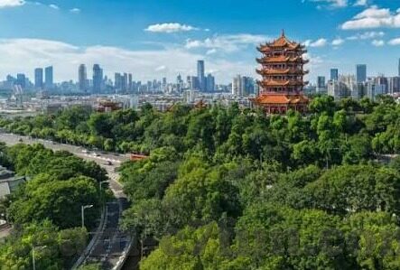 美国vs法国篮球世界杯-美国与法国，篮球世界杯舞台上的较量